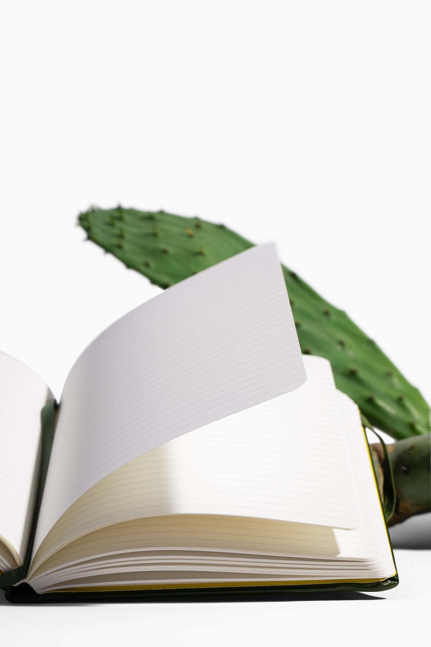 VITAL - VITAL Green Cactus Leather Lined Journal