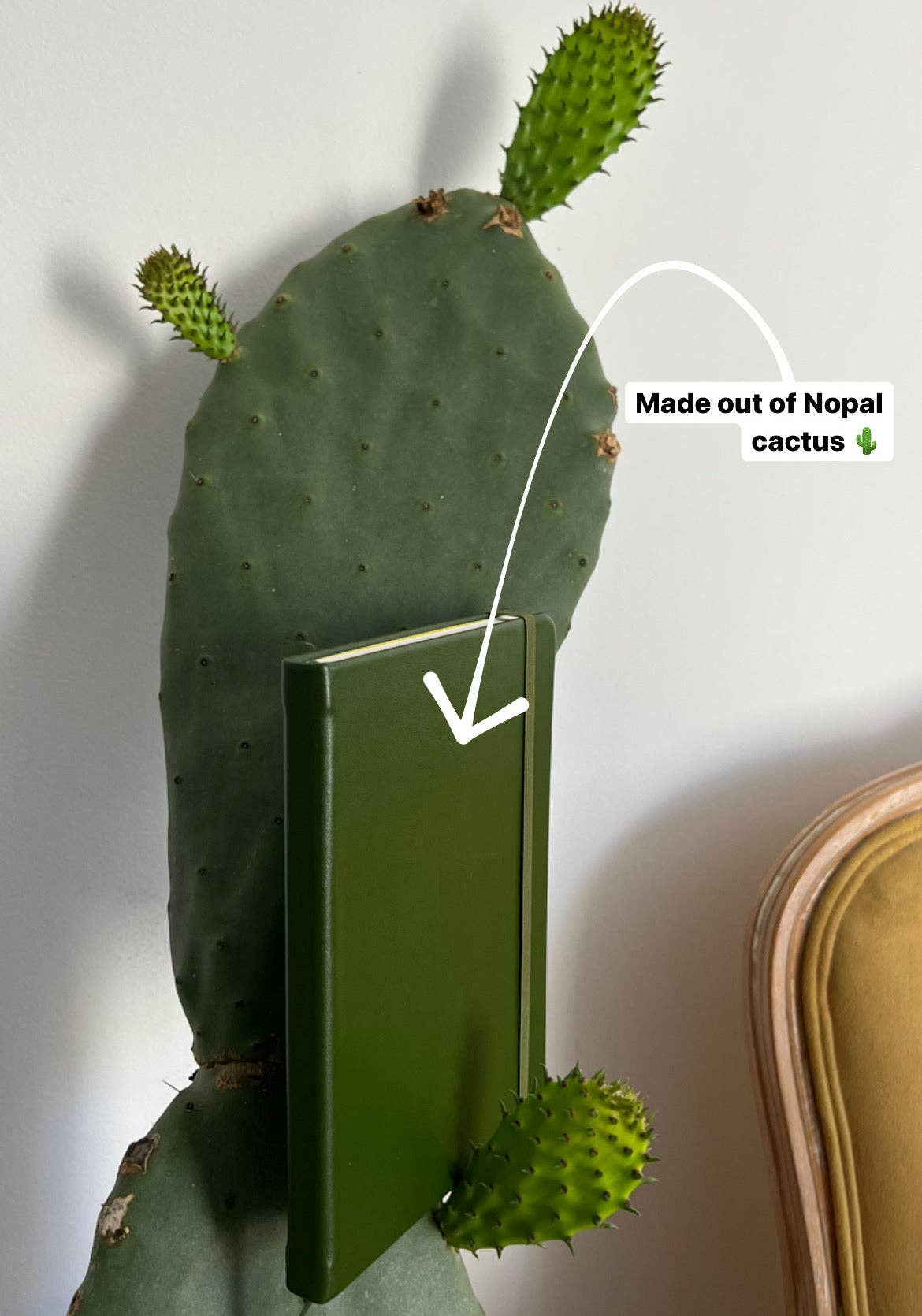 VITAL - VITAL Green Cactus Leather Lined Journal