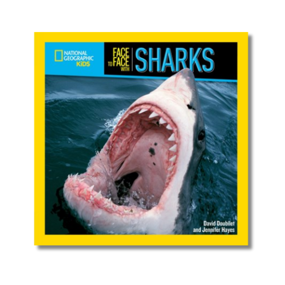 Face to Face with Sharks