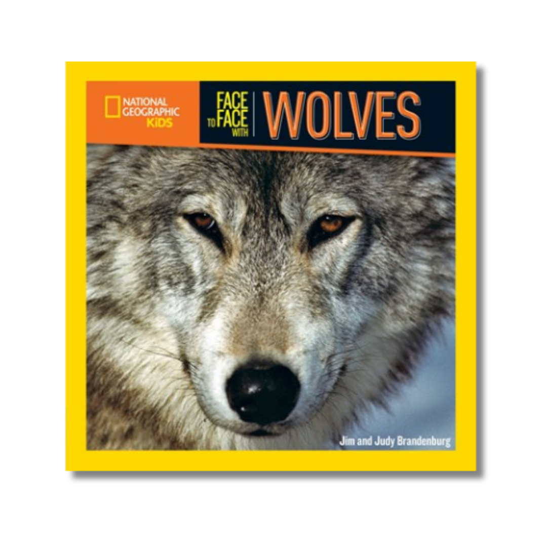 Face to Face with Wolves