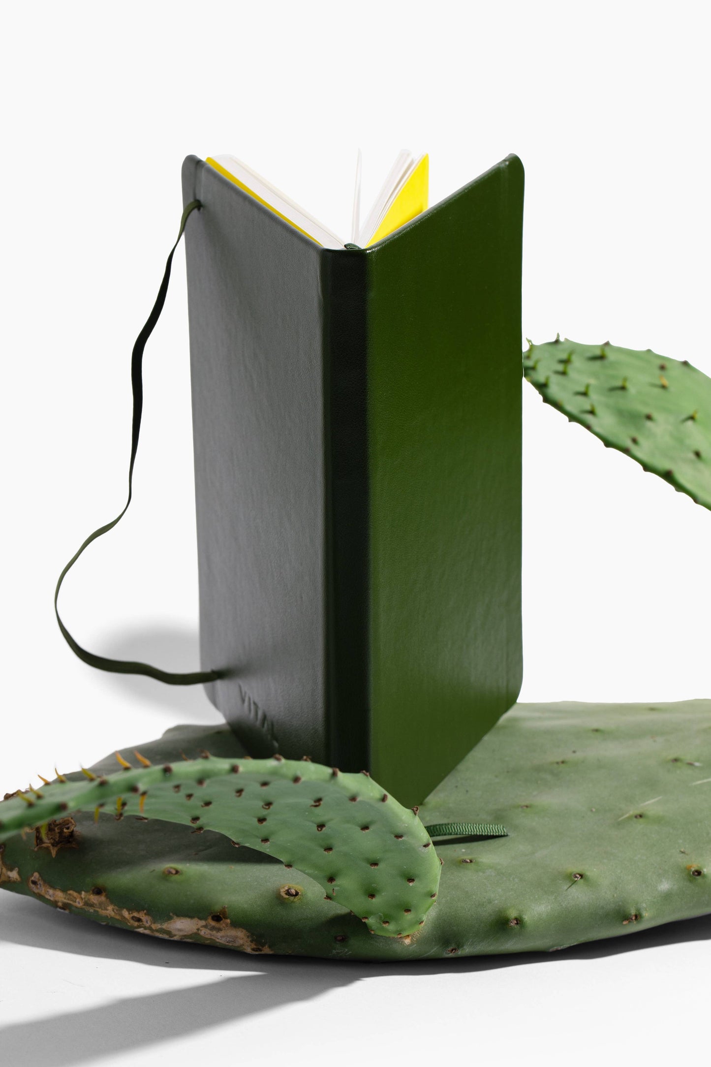 VITAL - VITAL Green Cactus Leather Lined Journal