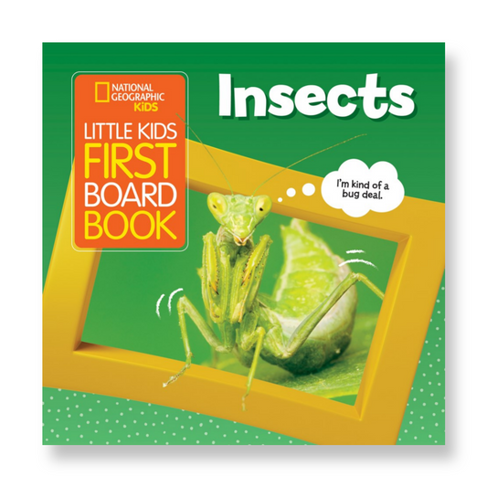 Little Kids First Board Book: Insects