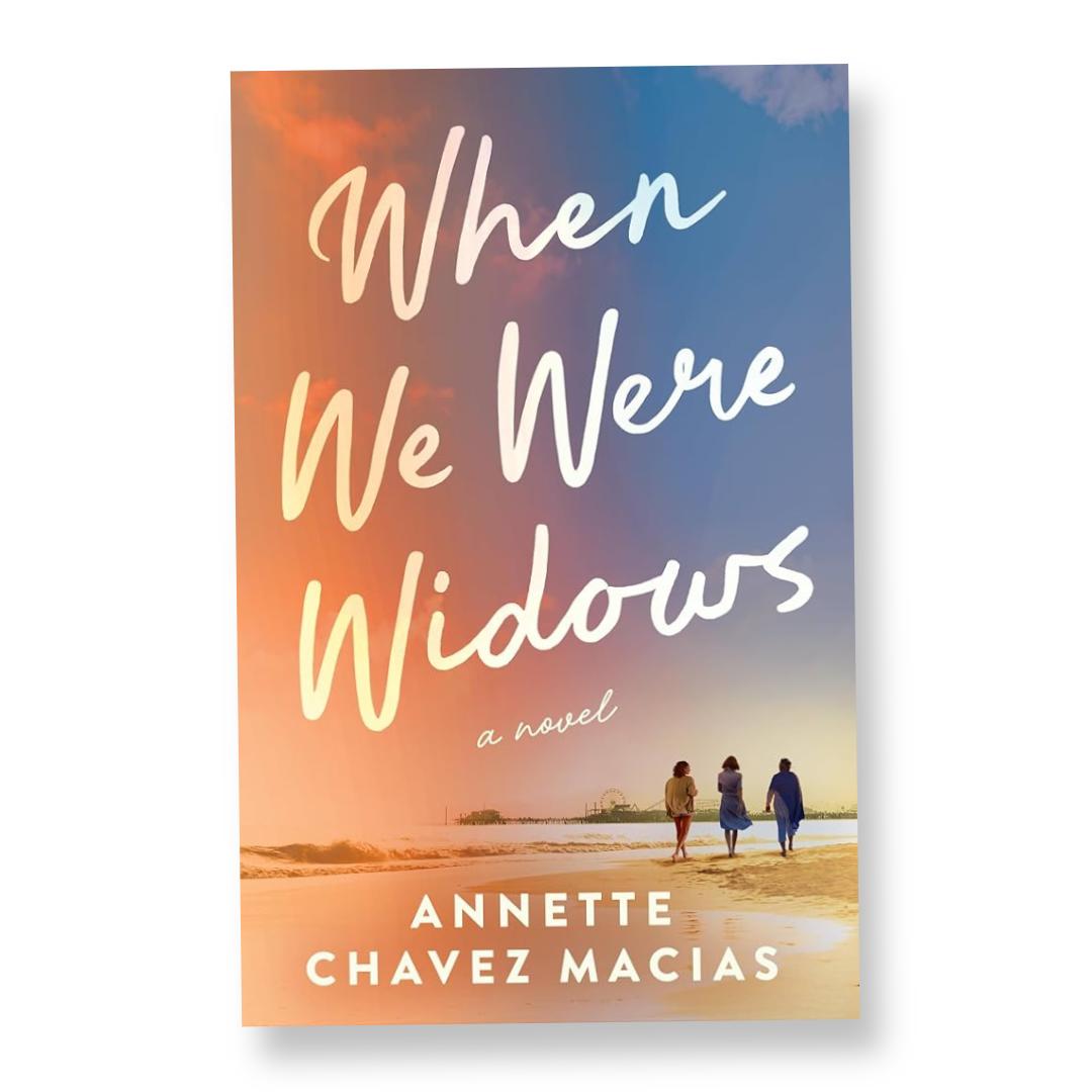When We Were Widows : A Novel