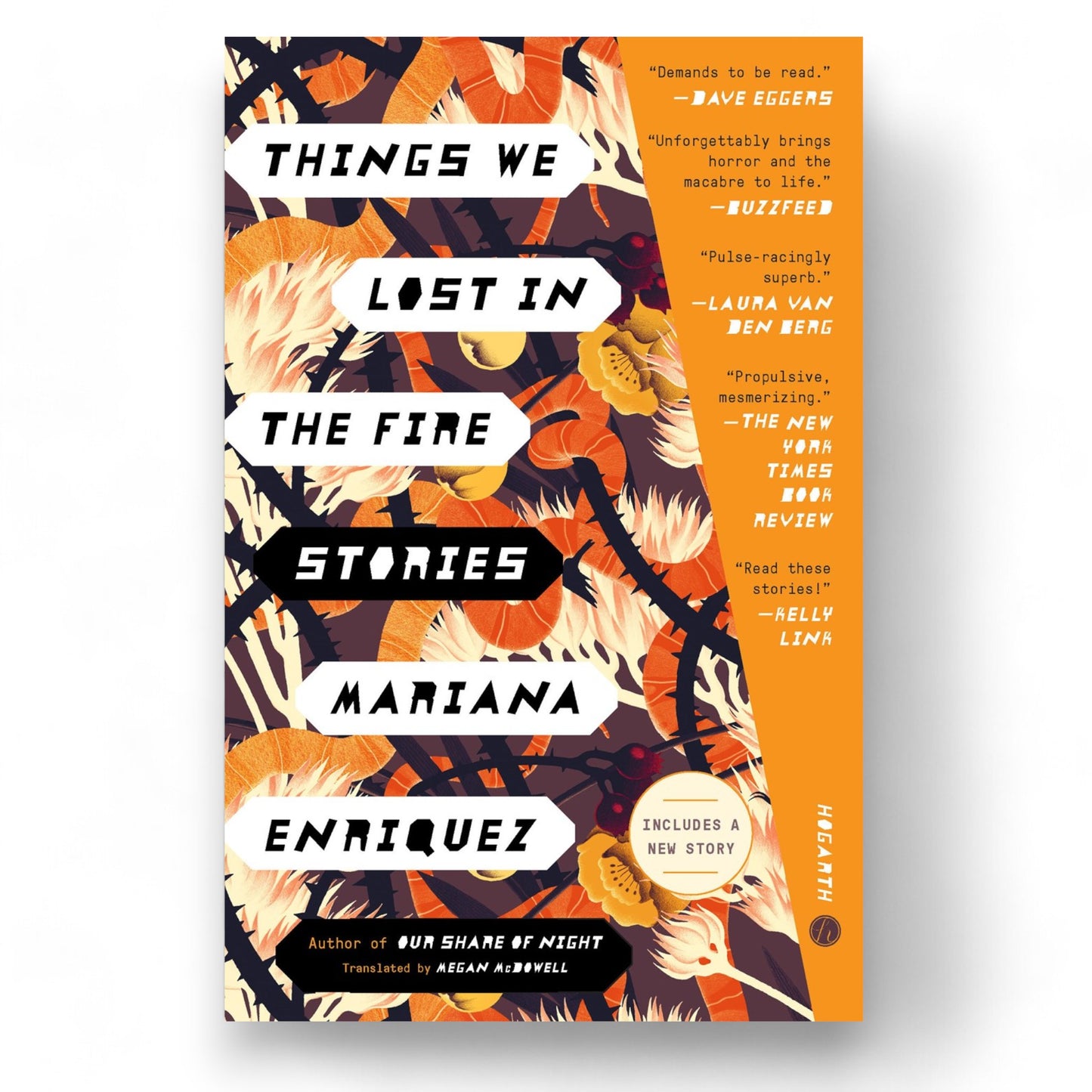 Things We Lost in the Fire : Stories