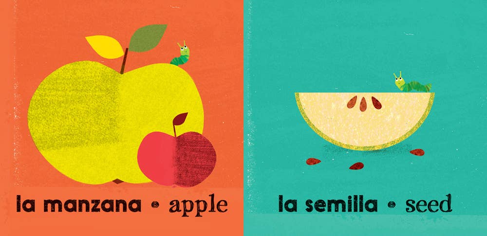 Barefoot Books - Grande y pequeño / Big and Small: Bilingual Spanish Board Book