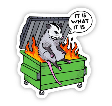 Big Moods - "It is what it is" Possum Dumpster Fire Sticker