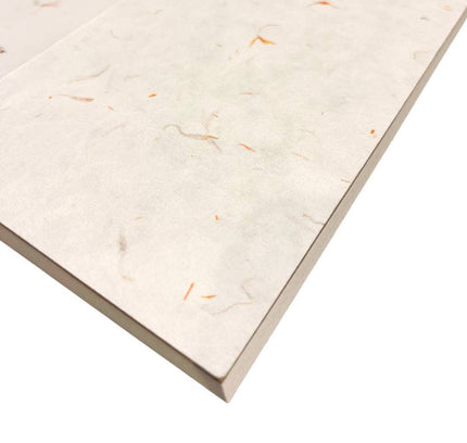 Paper Baristas - Journal Notebook Planner | Dot Grid Lined Petal Seed Paper