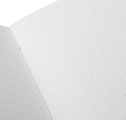 Field Notes - Paletas 3-Packs