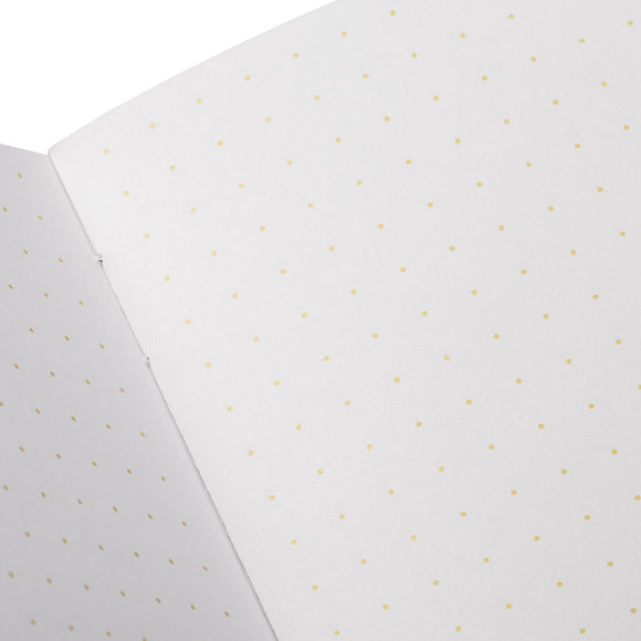 Field Notes - Paletas 3-Packs