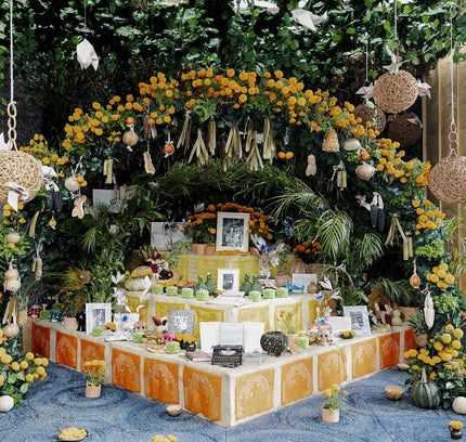 Mexico's Day of the Dead:  A Celebration of Life Through Photos and Stories