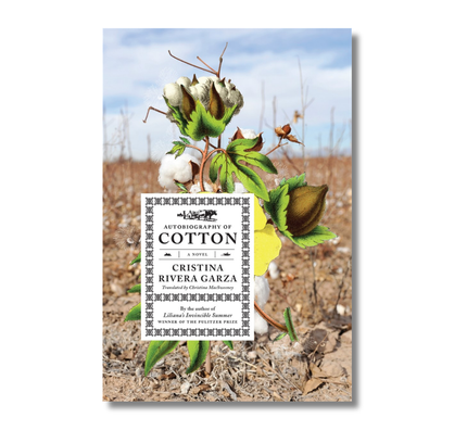 Autobiography of Cotton: A Novel
