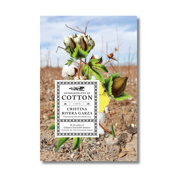 Autobiography of Cotton: A Novel