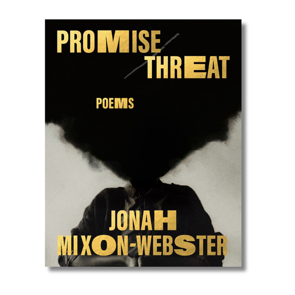 Promise/Threat:  Poems