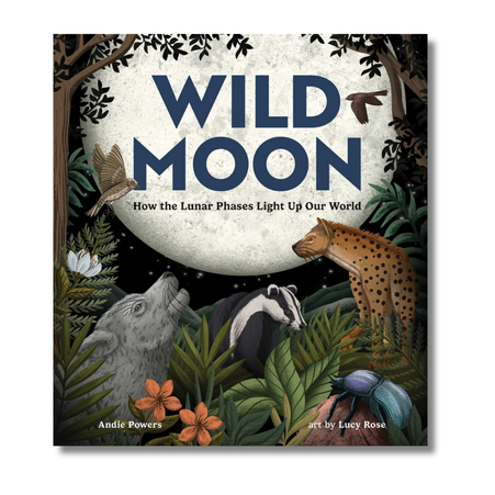 Wild Moon:  How the Lunar Phases Light Up Our World