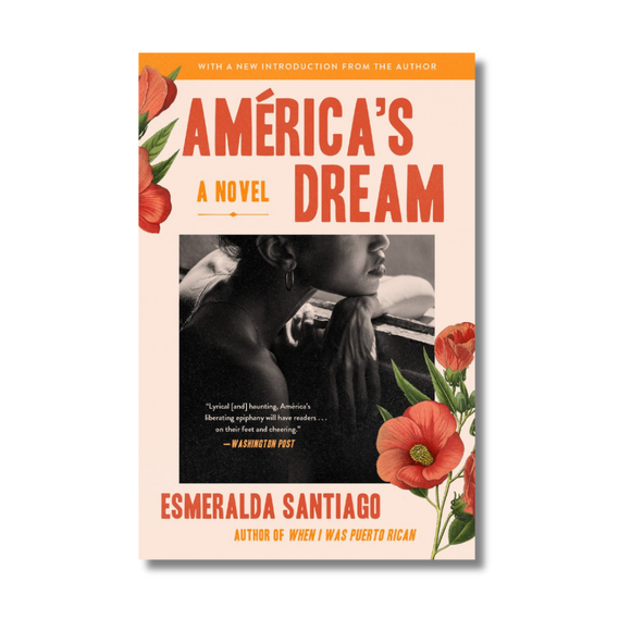 America's Dream: A Novel