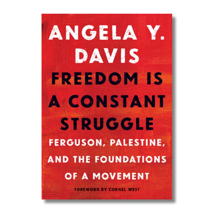 Freedom Is a Constant Struggle:  Ferguson, Palestine, and the Foundations of a Movement