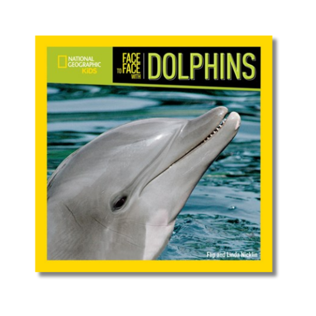 Face to Face with Dolphins