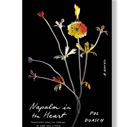 Napalm in the Heart : A Novel