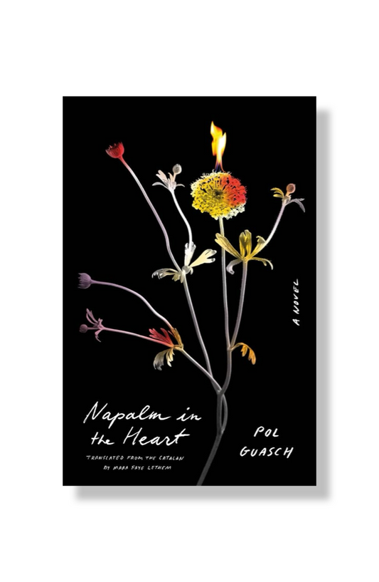 Napalm in the Heart : A Novel