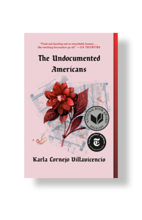 The Undocumented Americans
