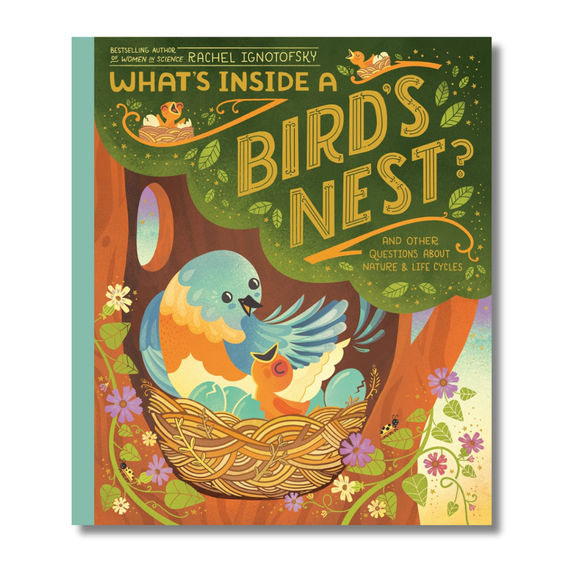 What's Inside A Bird's Nest?: And Other Questions About Nature & Life Cycles