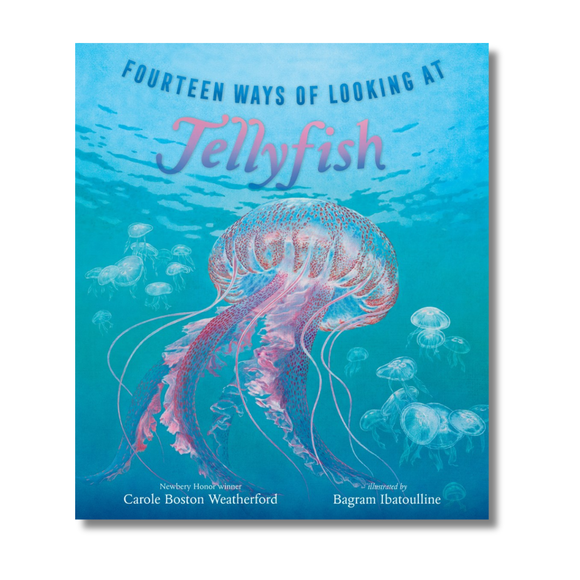 Fourteen Ways of Looking at Jellyfish