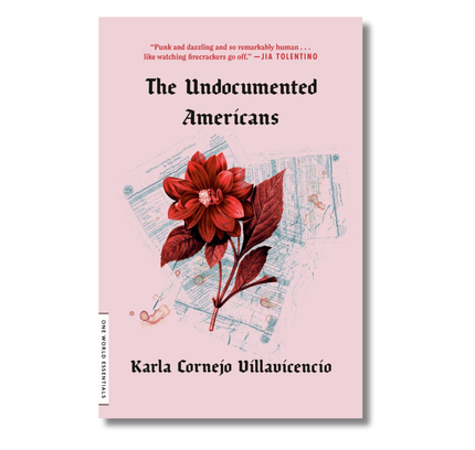 The Undocumented Americans