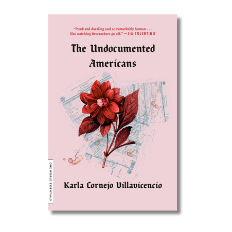 The Undocumented Americans