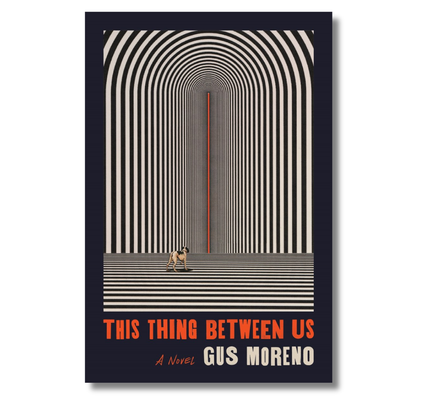 This Thing Between Us: A Novel
