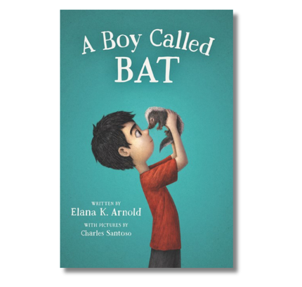 A Boy Called Bat
