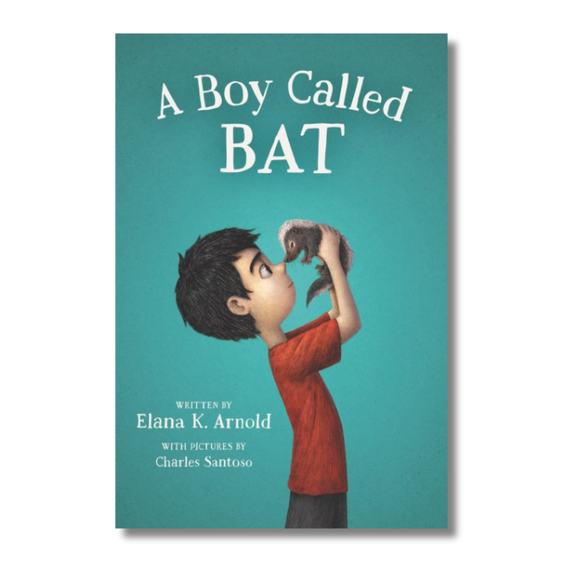 A Boy Called Bat