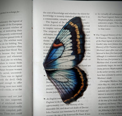 Dark Veinlet - Clear Bookmark - Blue Purple Butterfly Wing Dark Academia
