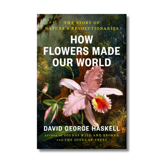 How Flowers Made Our World:  The Story of Nature's Revolutionaries