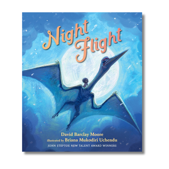 Night Flight