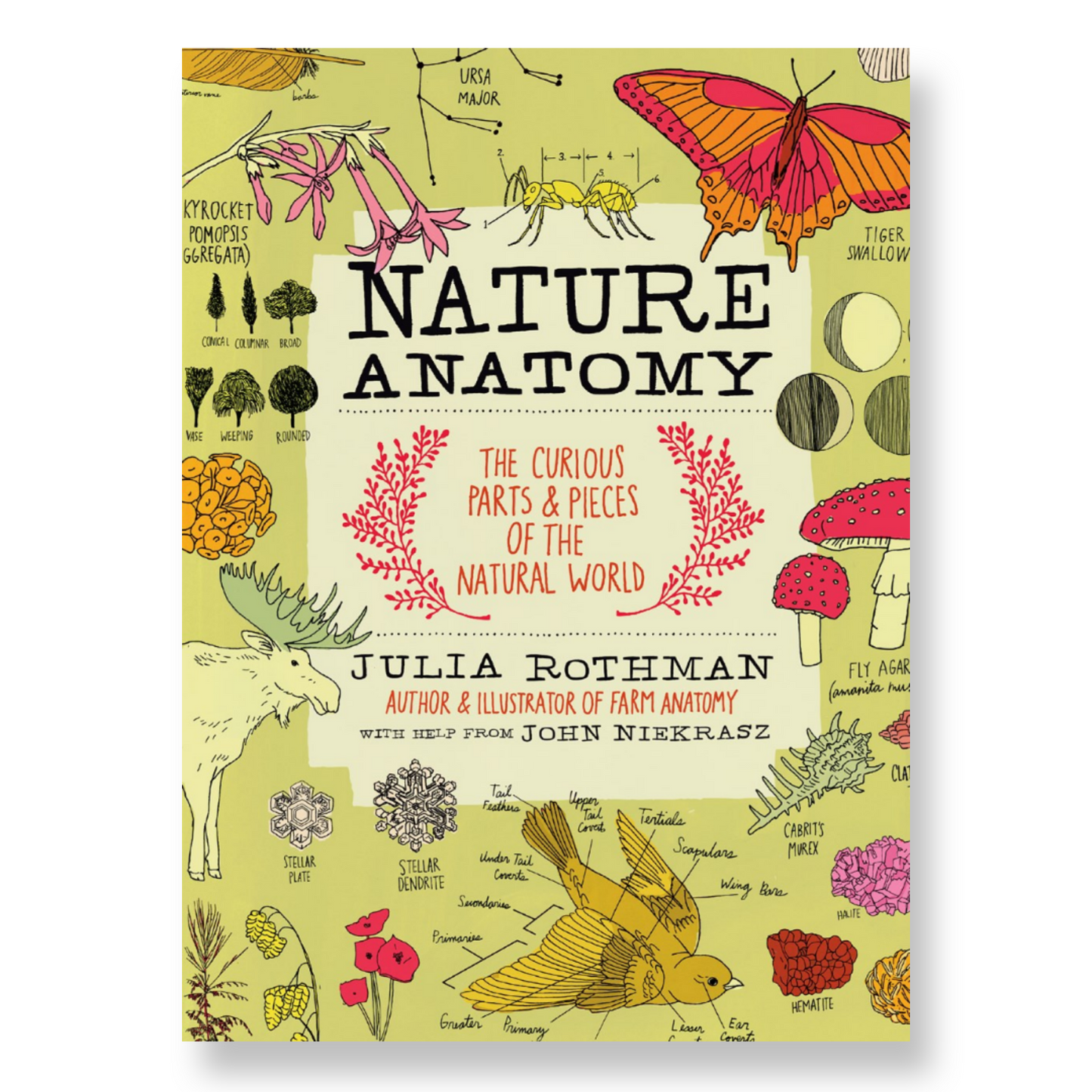 Nature Anatomy : The Curious Parts and Pieces of the Natural World