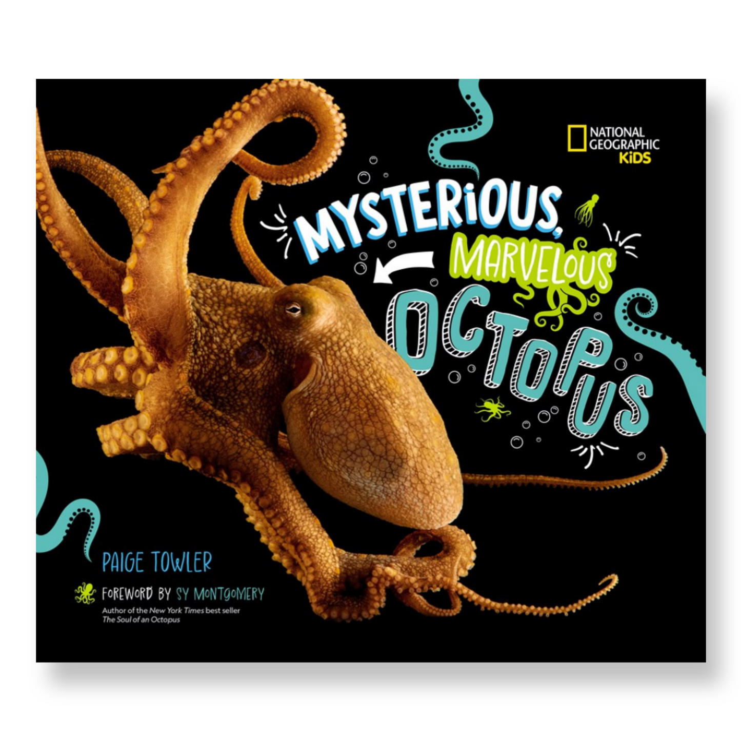 Mysterious, Marvelous Octopus!