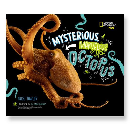 Mysterious, Marvelous Octopus!