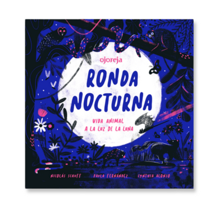 Ronda nocturna