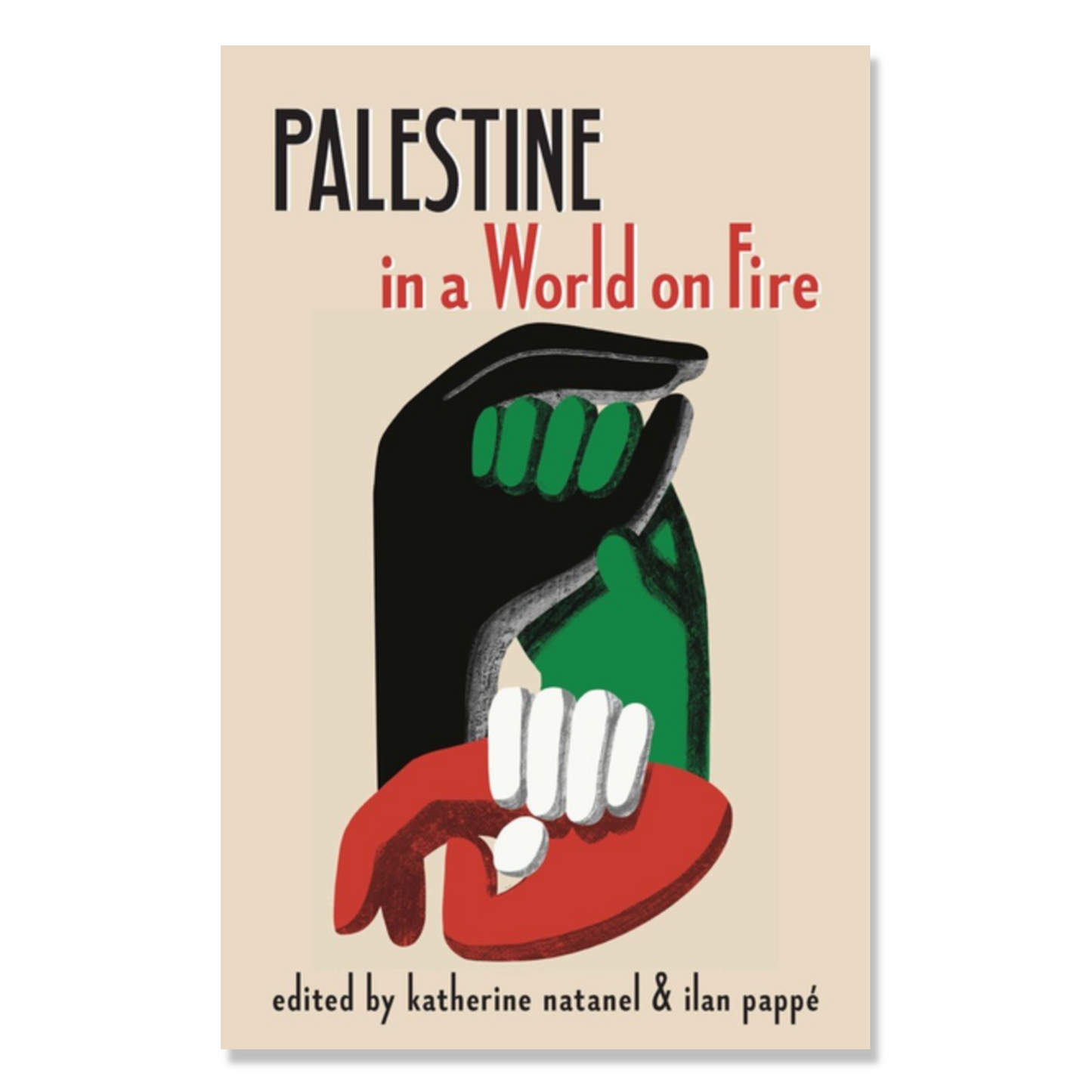 Palestine in a World on Fire : A Global Conversation
