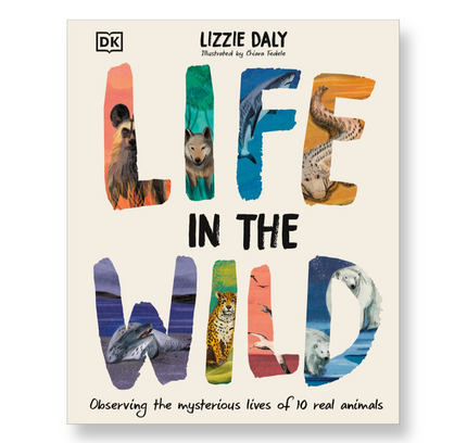Life in the Wild : Observing the Mysterious Lives of 10 Real Animals