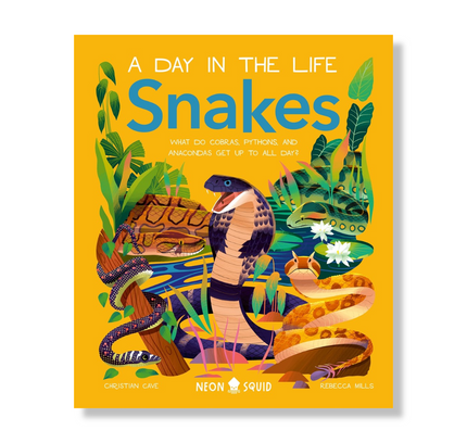 Snakes (A Day in the Life) : What Do Cobras, Pythons, and Anacondas Get Up to All Day?