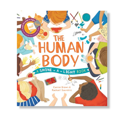 The Human Body