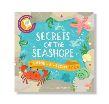 Secrets of the Seashore