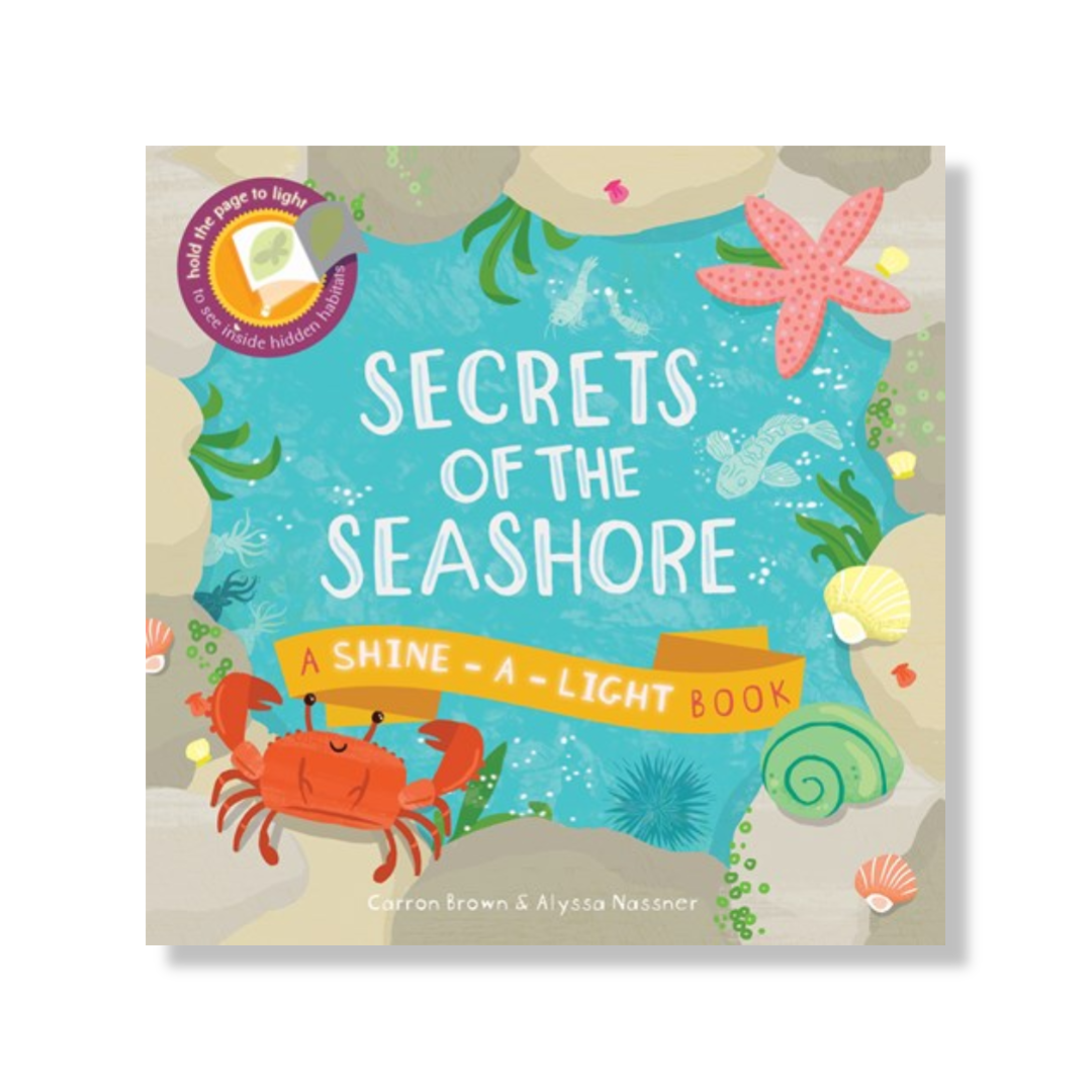 Secrets of the Seashore