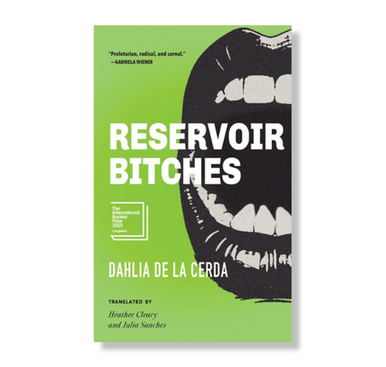 Reservoir Bitches:  Stories
