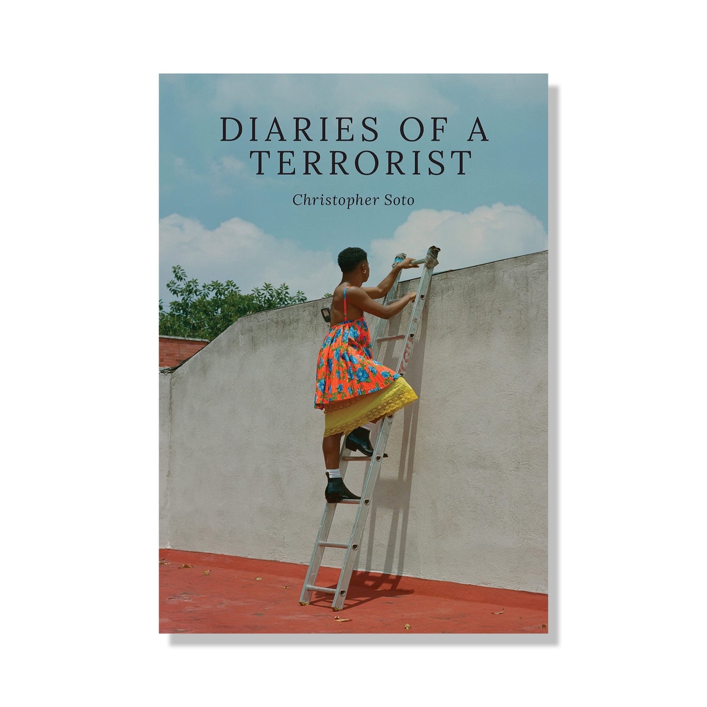 Diaries of a Terrorist